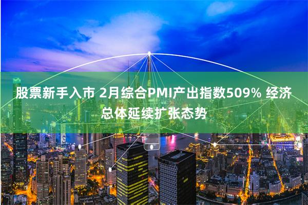 股票新手入市 2月综合PMI产出指数509% 经济总体延续扩张态势