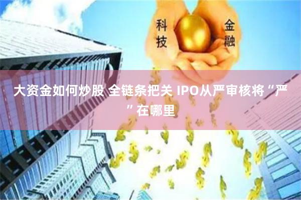 大资金如何炒股 全链条把关 IPO从严审核将“严”在哪里