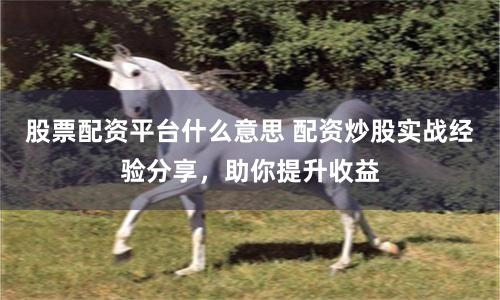 股票配资平台什么意思 配资炒股实战经验分享，助你提升收益